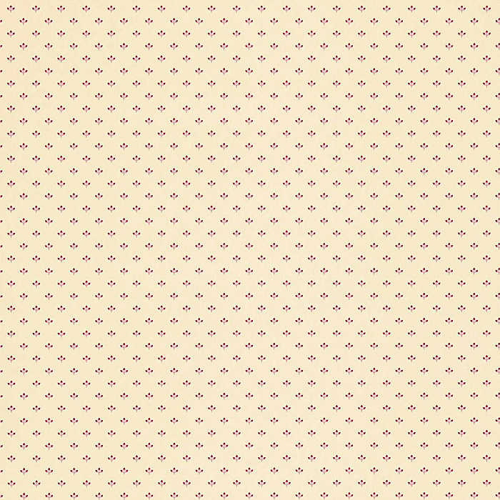 Floral Fantasies Обои Интернет Магазин
